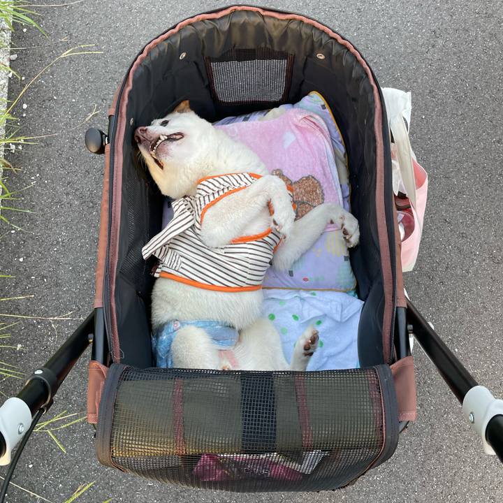 48fae8ab 4965 4f70 a08e 189f2b83567c 1659013239398