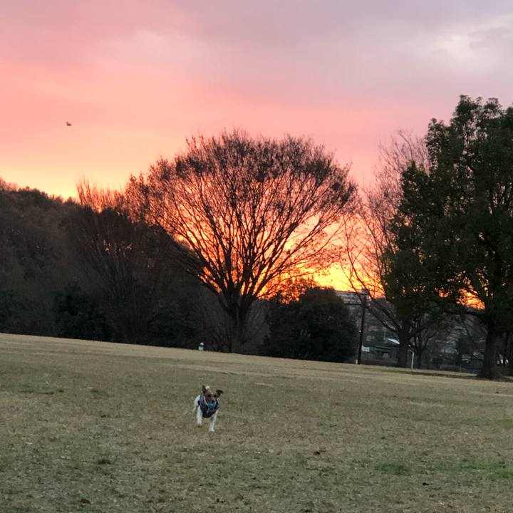 48fb01f5 547d 4f42 9bbc 4231fba30b76 1545778135568