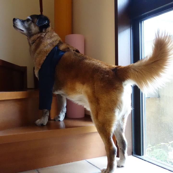 48fb0fa9 13ff 49e0 baeb db31d5ea2f25 1559351955779