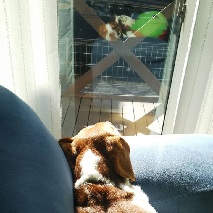 48fb4724 c244 4ae4 b225 c2a7b86d3298 1605231858253