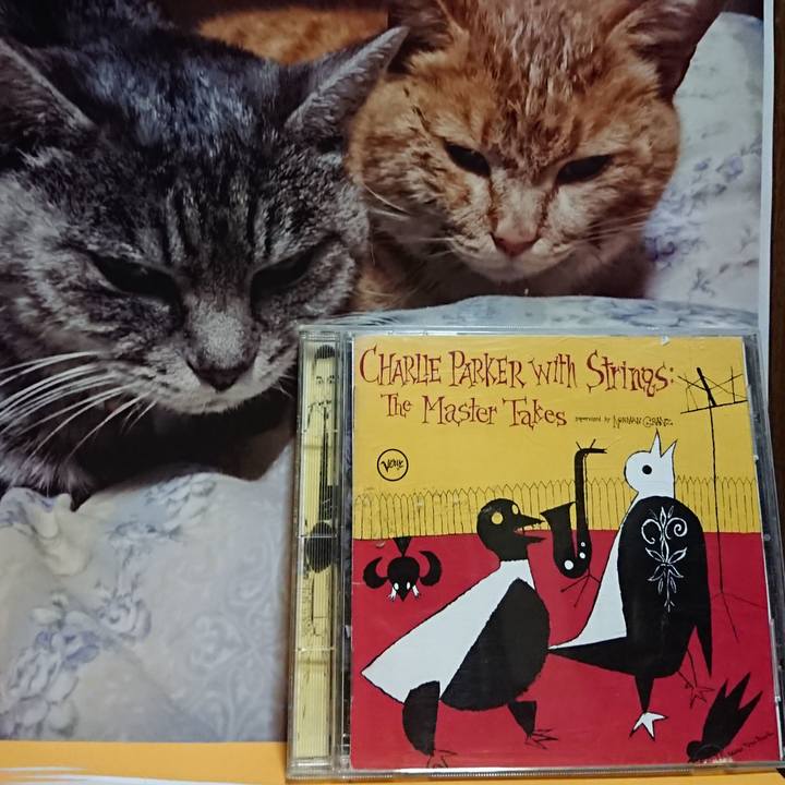 48fb781a c4f0 438f b95b 1ea35383530e 1625223508910