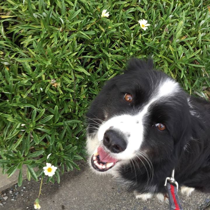 48fb822b a06a 4c7e a33c ea26795e3323 1562713319261