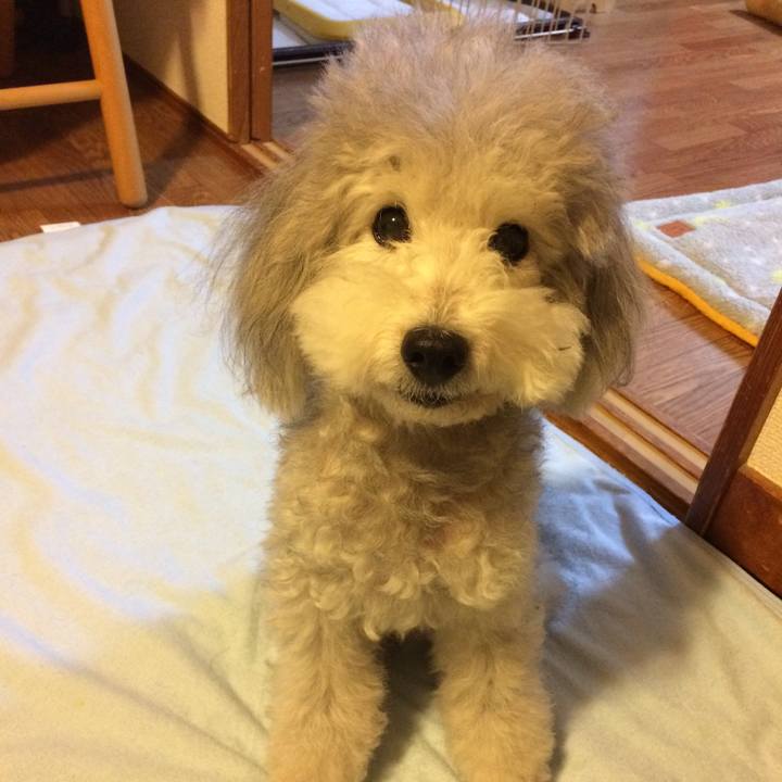 48fb86c5 8687 42a3 9795 6389b3a16389 1512648201045