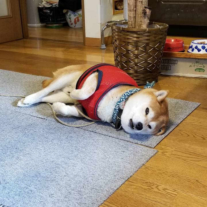 48fbae51 ebd1 4a86 a68f 2c200457be3f 1519427620912