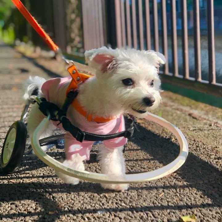 48fc0f1d c44a 4be8 9c8e be1833273c75 1558757259857