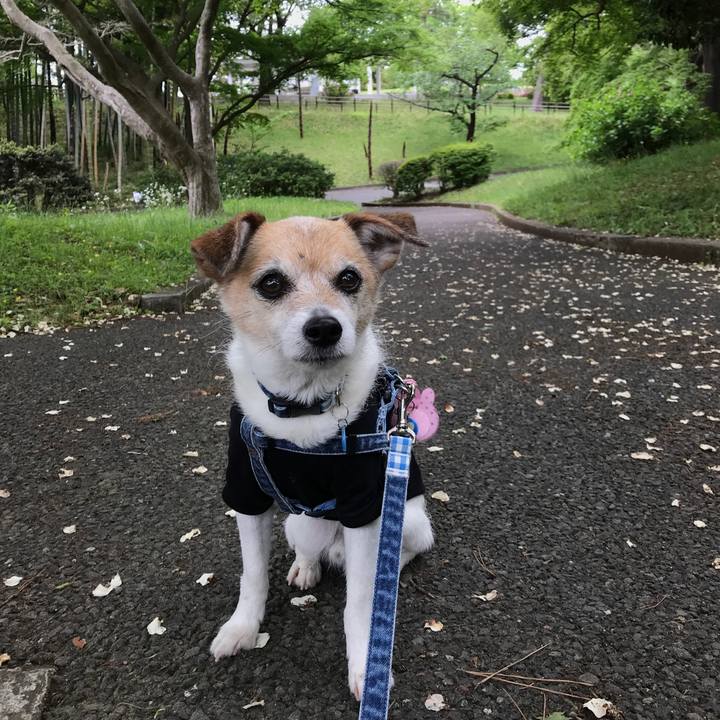 48fc3e6d 2126 4953 aab5 37d6dc1063e2 1651374034810