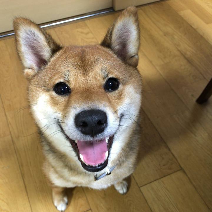 48fc5371 6ba3 4d7c 8c58 ec315fc1028f 1521589266270