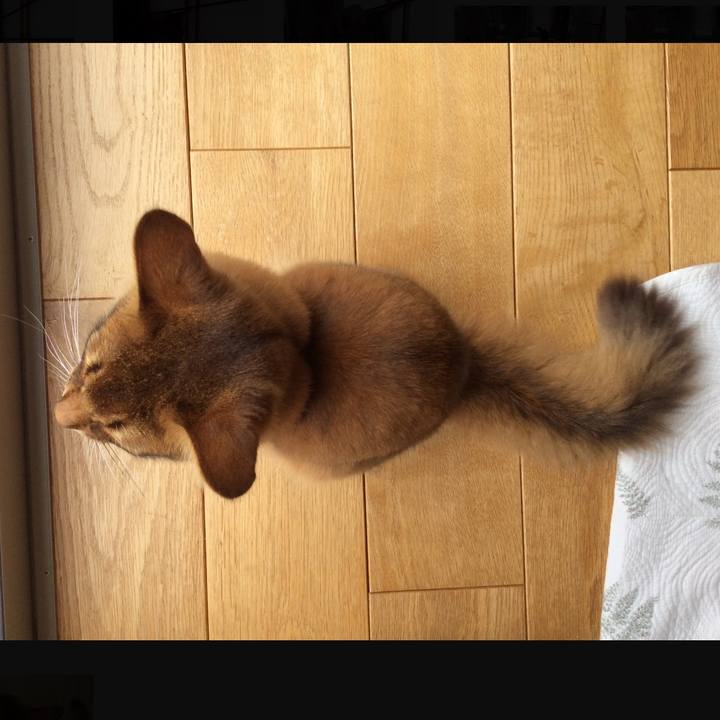 48fc9734 710e 42a3 ab60 2d14d322e525 1586662247974