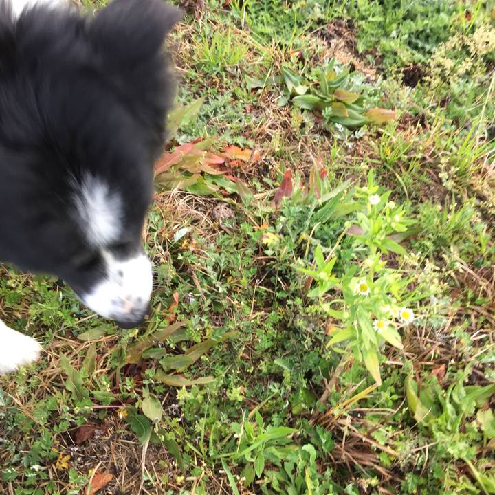 48fca972 0ffd 4262 aee9 840d06e7c035 1552433872271