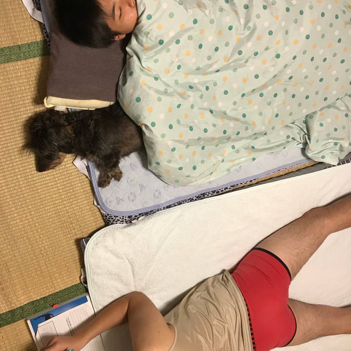 48fccfca 73f5 4fbe b21d 2b355476c2b7 1540483855300