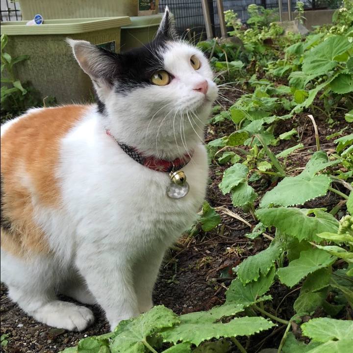 48fceb35 1d23 4c87 bf14 d4cf1ceaf81d 1615471909922