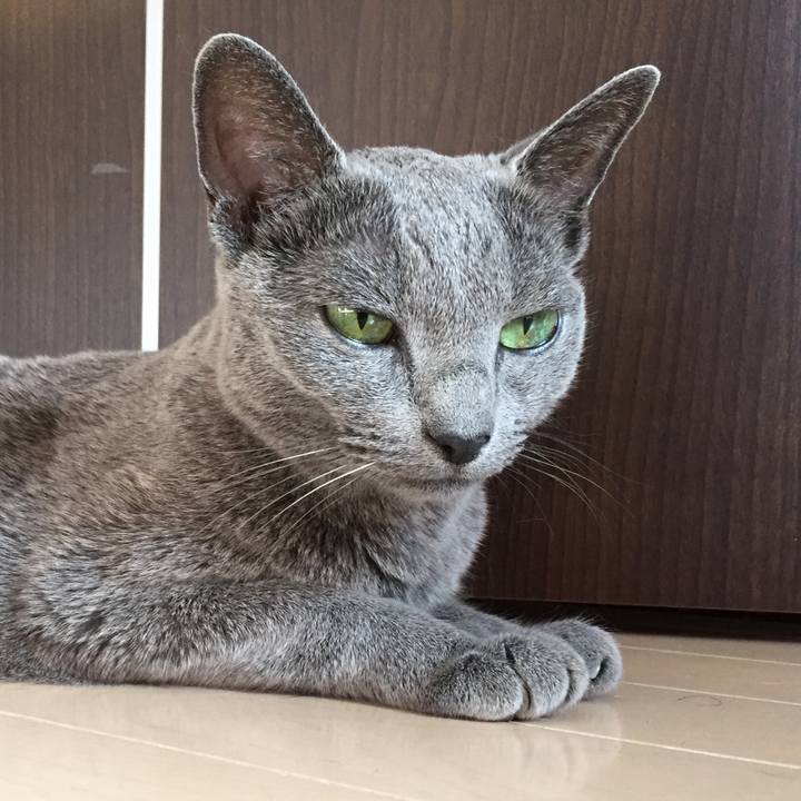 48fcf610 774d 4ca7 98f0 e5f73119fece 1536709814966