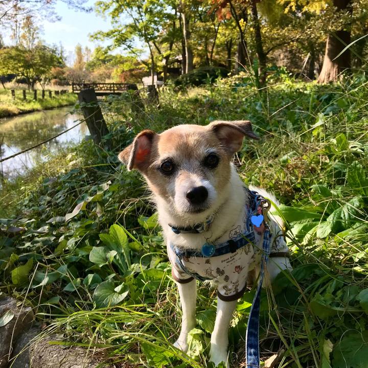 48fd1daa 6424 47bc 8557 54d1a632c902 1635933003676