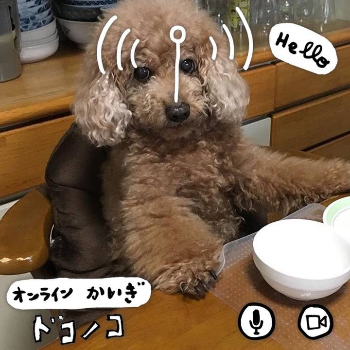 48fd386c 0d17 4669 84f7 b25005005312 1590921778243