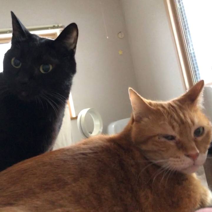 48fd53d0 1e97 4220 8d02 a66a67e24570 1680296345790