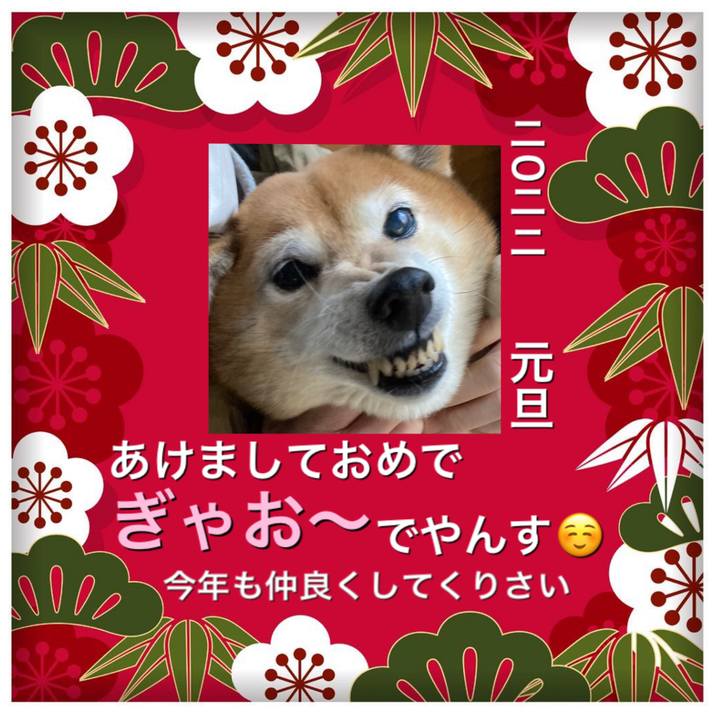 48fd53eb 03ef 433d 9dd1 633a9042c136 1640991942875