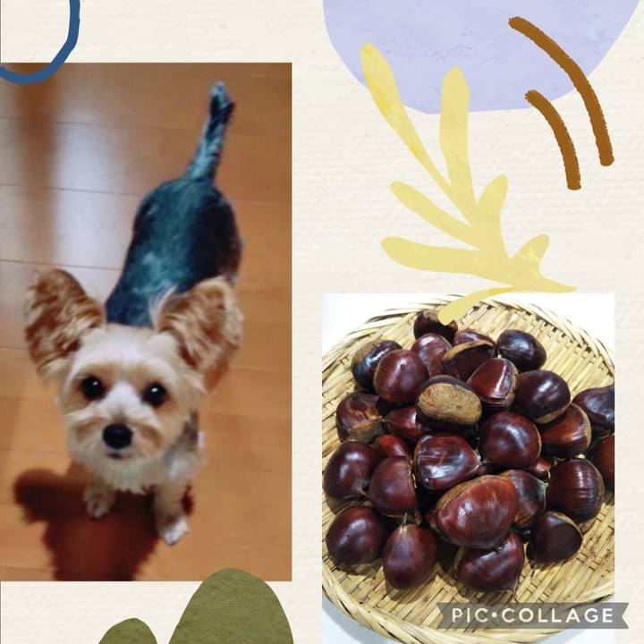 48fda122 8a77 4ffb 80f4 b7630ca65b3e 1662119671213