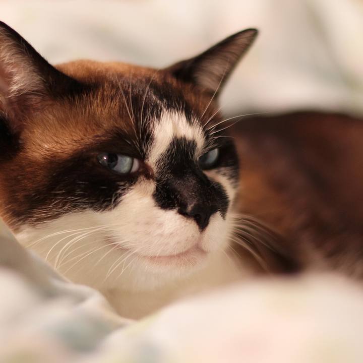 48fdafd7 e6af 4030 ac69 fe0bd8568583 1513048838334