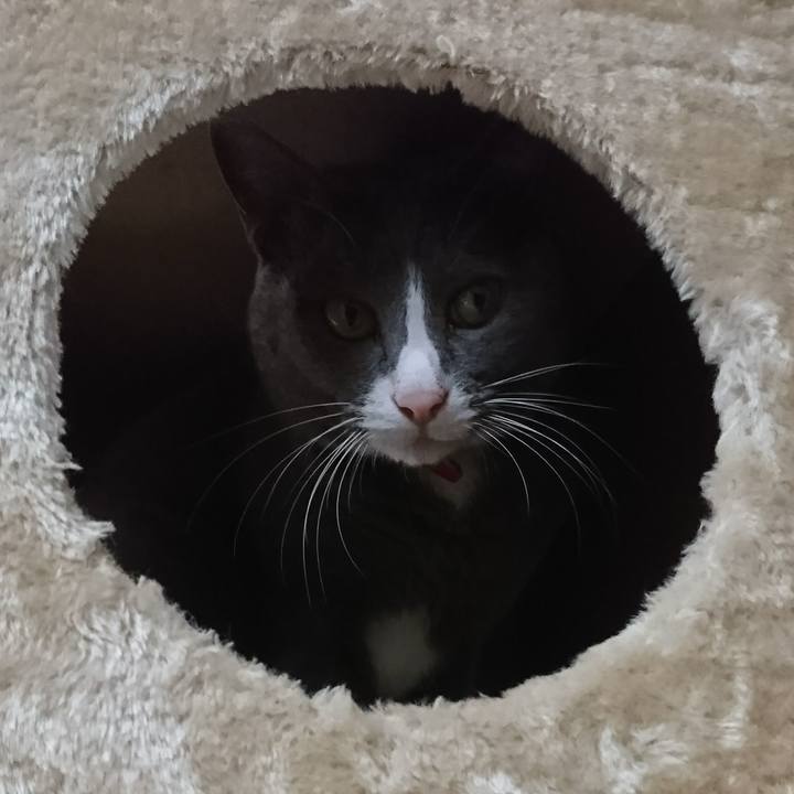 48fdec2e 21b2 4c65 8f43 9af3132cc0fa 1510039350879