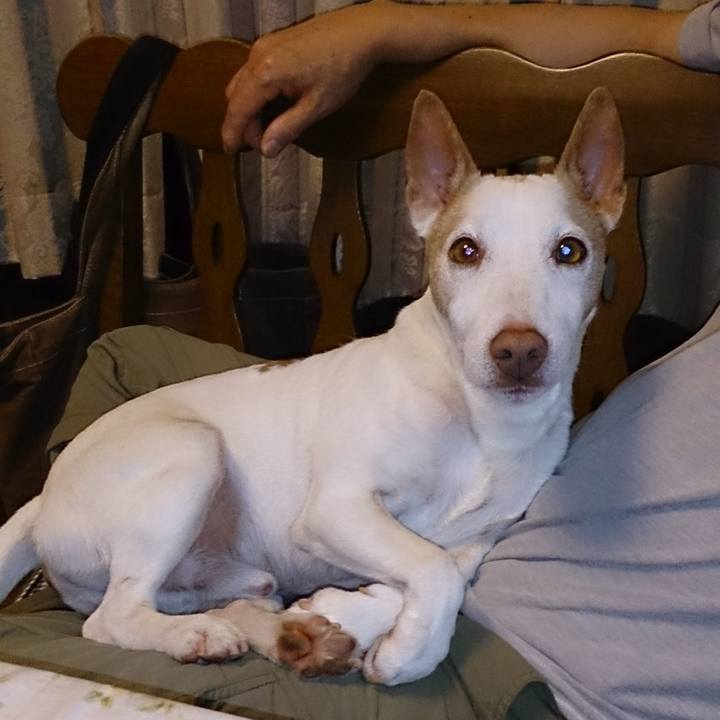 48fdf04e fe5f 4fac a13f 9cc962ad8c8d 1702595337967