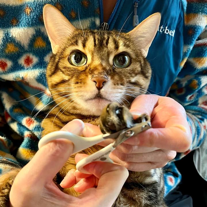 48fe3d42 907b 4689 a67a 1e985413f94b 1646545756122