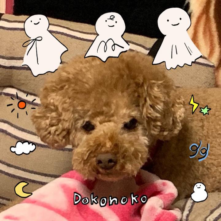 48fe5547 4279 4cff bd46 4f2b6233f15b 1749096634392