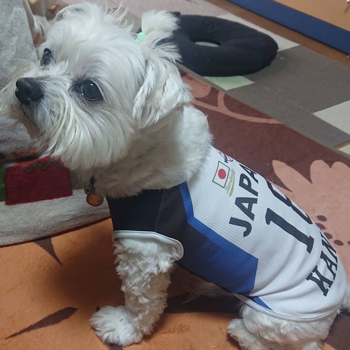 48fe8b93 70b9 4d8c 95fd a54bc2fd3daa 1679355870673