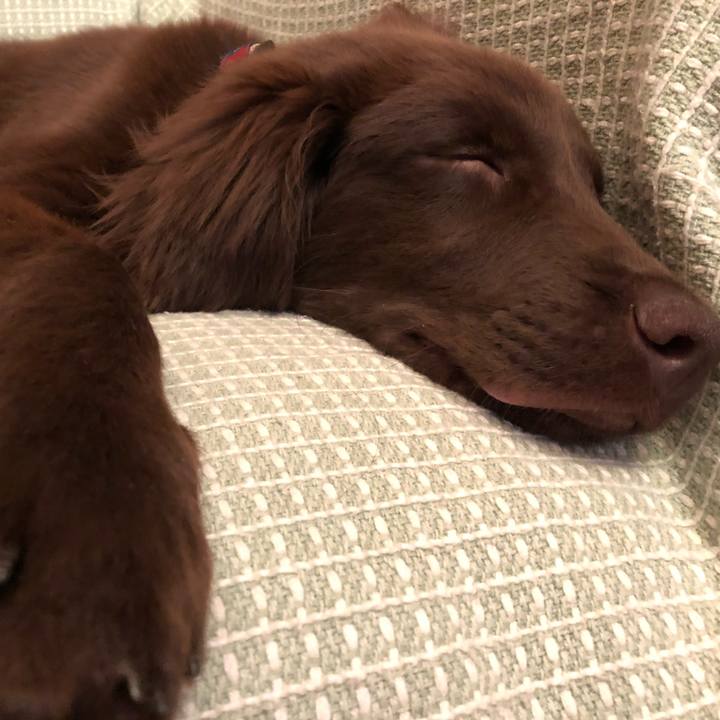 48fec02a b212 4a06 b162 9d152928ecbc 1556544326186