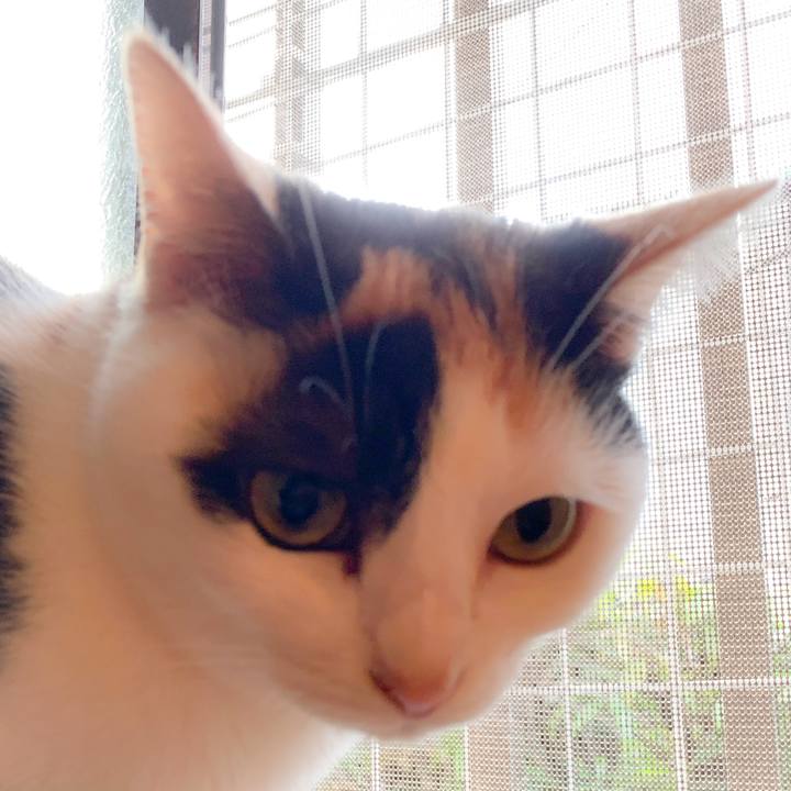 48fee346 a16b 482e 9ad5 6134e698527f 1559354227439