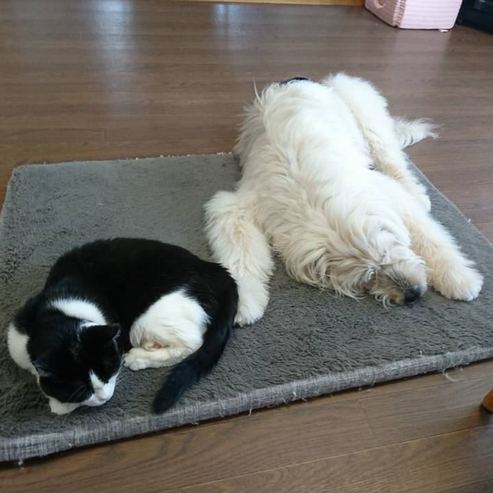 48ff20cc 03f5 425b bfd1 4bd12e10304d 1615848593715