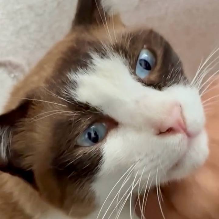 48ff5ca9 8d16 4daa aa02 68d417452c7f 1754369140546