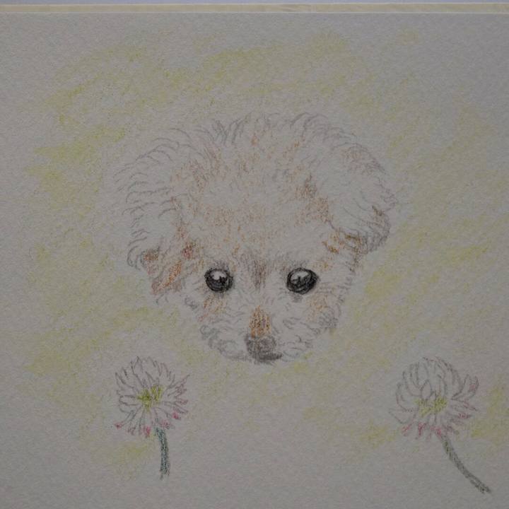 48ff806a 9be3 489f bdeb 99e31f7b5ce3 1747874536535