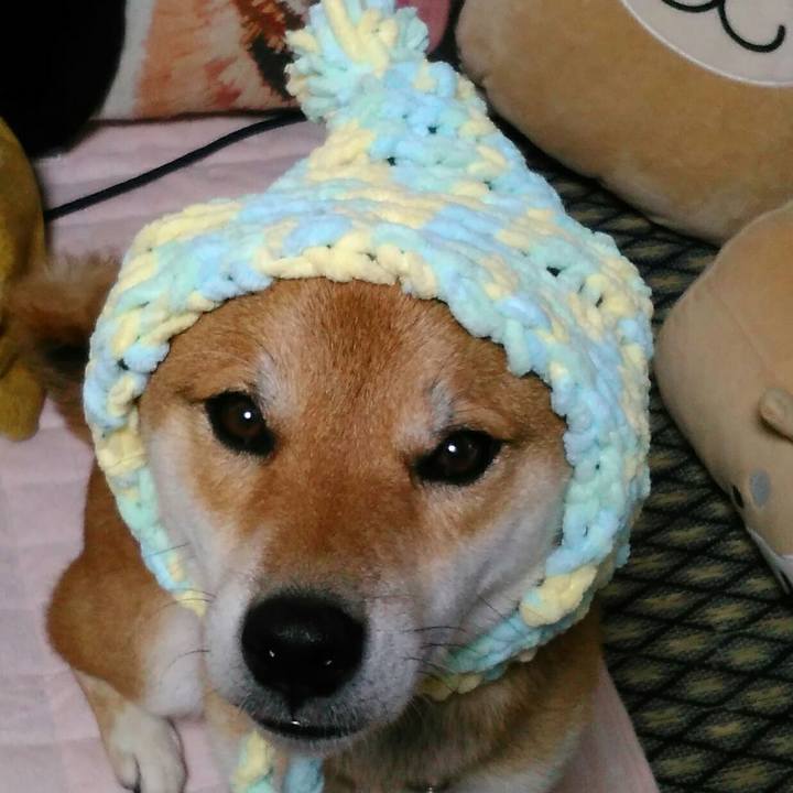 48ff9875 30f1 4d3e ab67 e4ac2be4a213 1508590551368