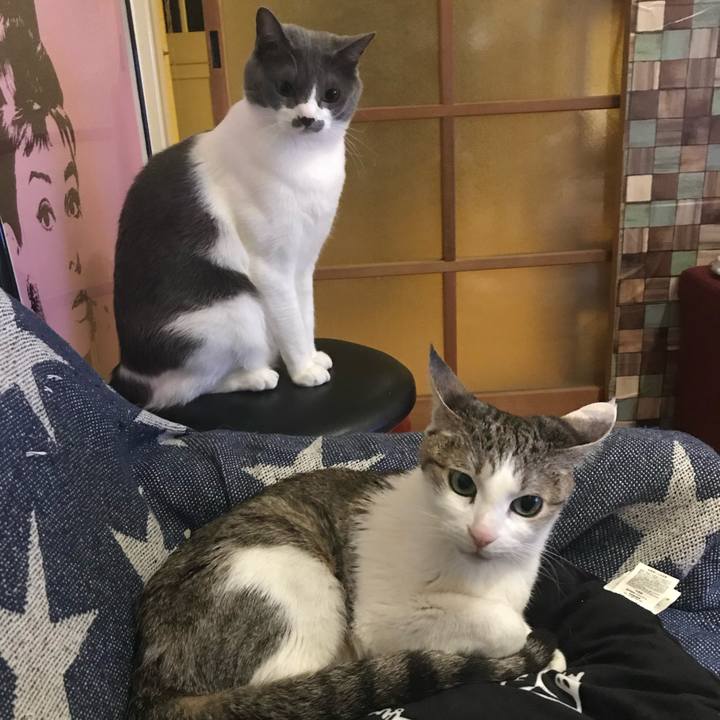 48ff9b9a 9ceb 43af 80b8 ca5c9cc097f2 1745650135672