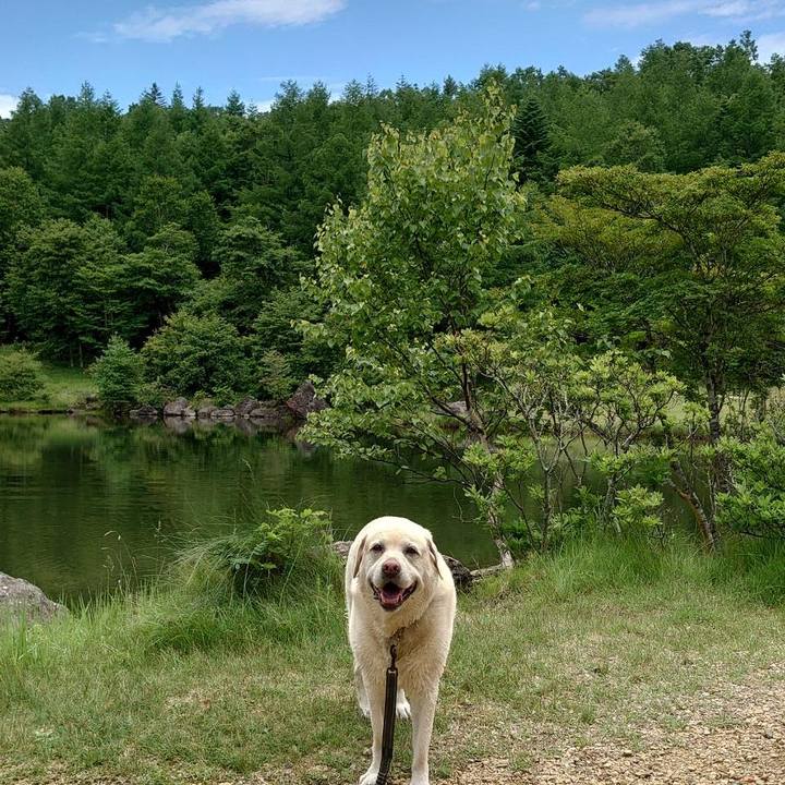 48ffa5ac 908e 4833 8031 4c43e0644bc0 1751690665558