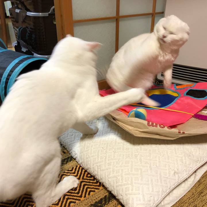 48ffb0bf 6d79 4fdc a77e b73306fafd14 1533902519596