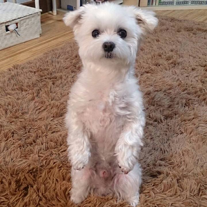 48ffb7c4 ca36 42d8 a4fb 246fb6c2d951 1507853792766