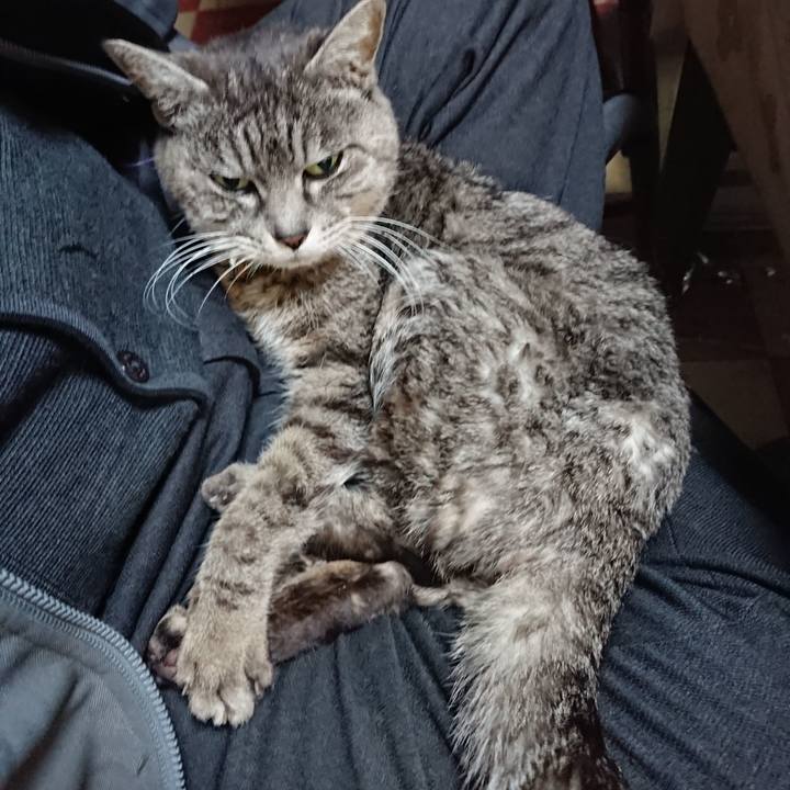 4900001e fd36 4604 80e8 7ff331279299 1580335073729