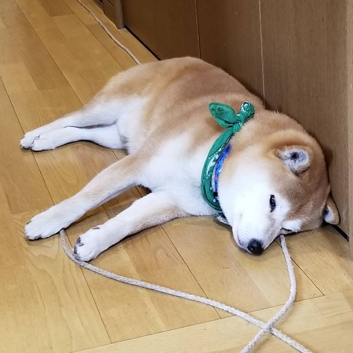 49000319 4d8c 4702 84b1 03634f17130d 1556591461433