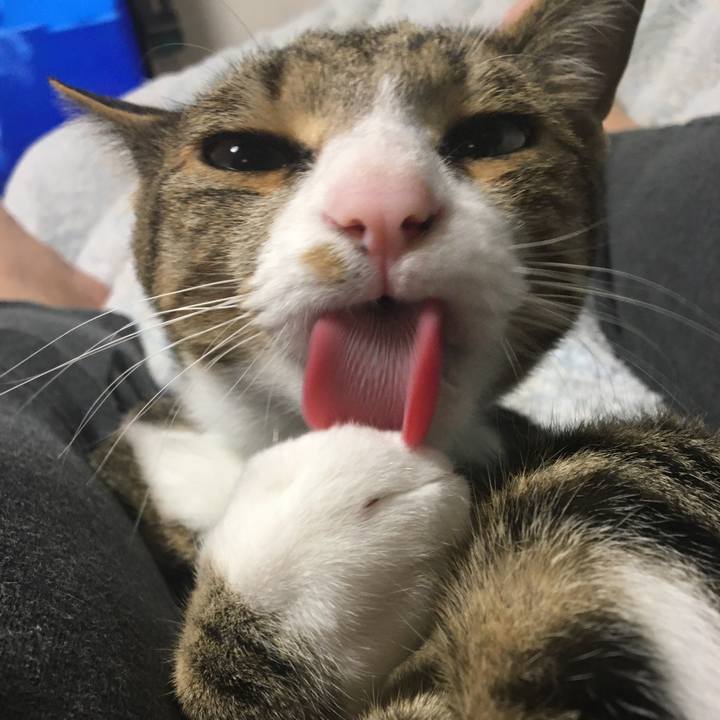 490018ef 745c 450e 9476 ad101b541893 1670631937429