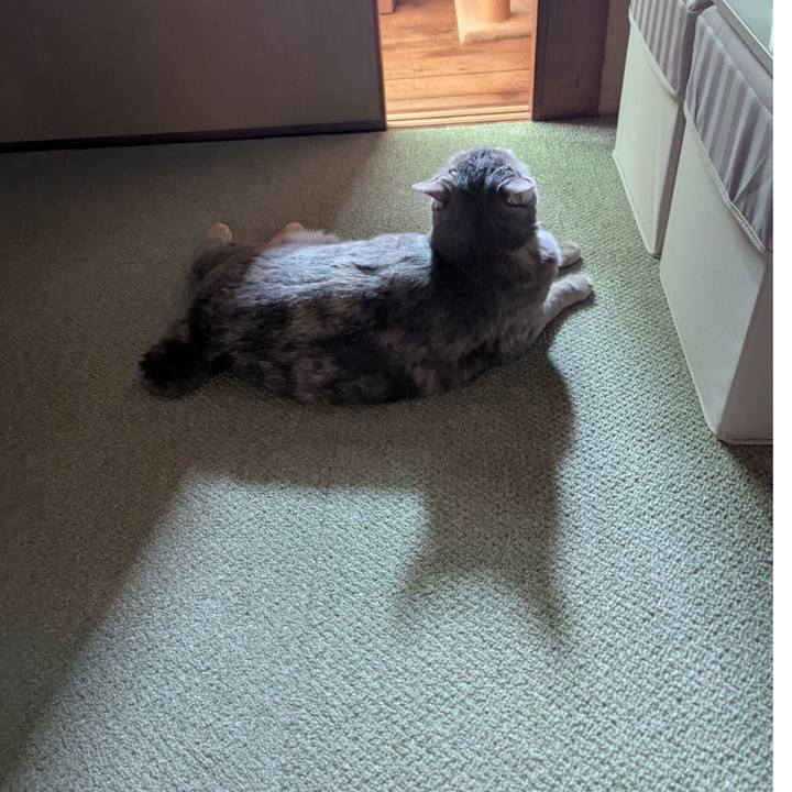 49002cf8 64e2 4a7f 9be9 40bf7fe064f1 1752734994300