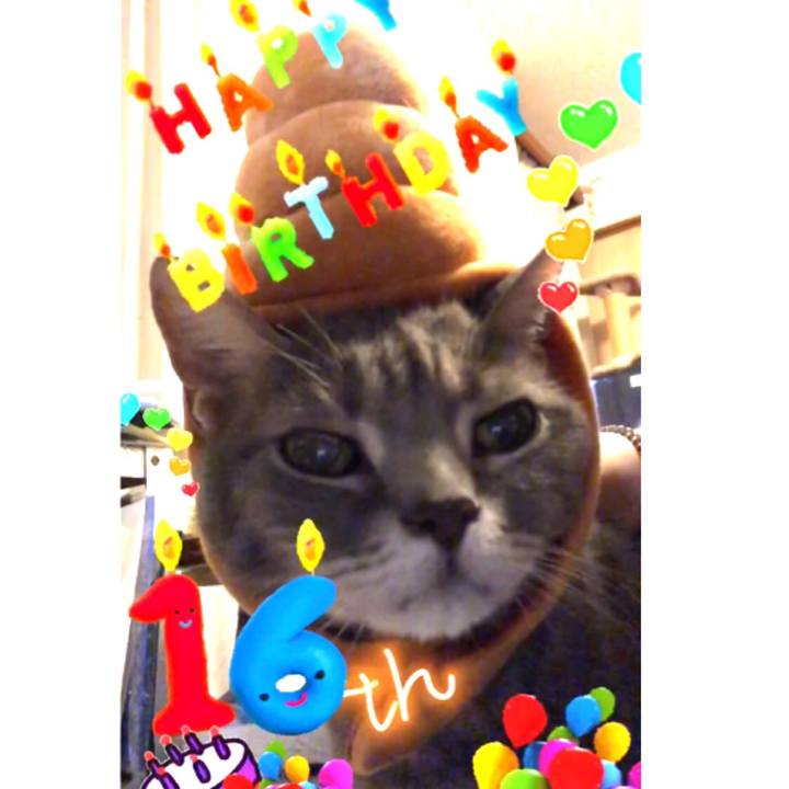 49004331 0047 4da2 9c84 6afe402cda9a 1558624111884