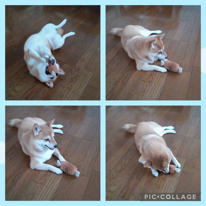 490092f1 b869 4de6 9a72 53aacfadd987 1755766735400