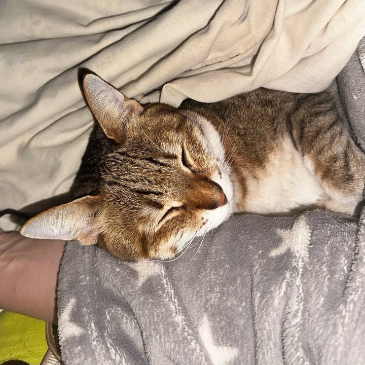 4900e9d8 c4e8 49df aa08 dae3748b5454 1770212589252