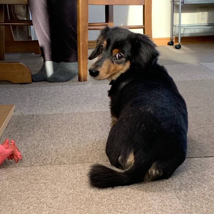 4901004b 5485 4a04 96f1 558b1afbdc5a 1573858043759