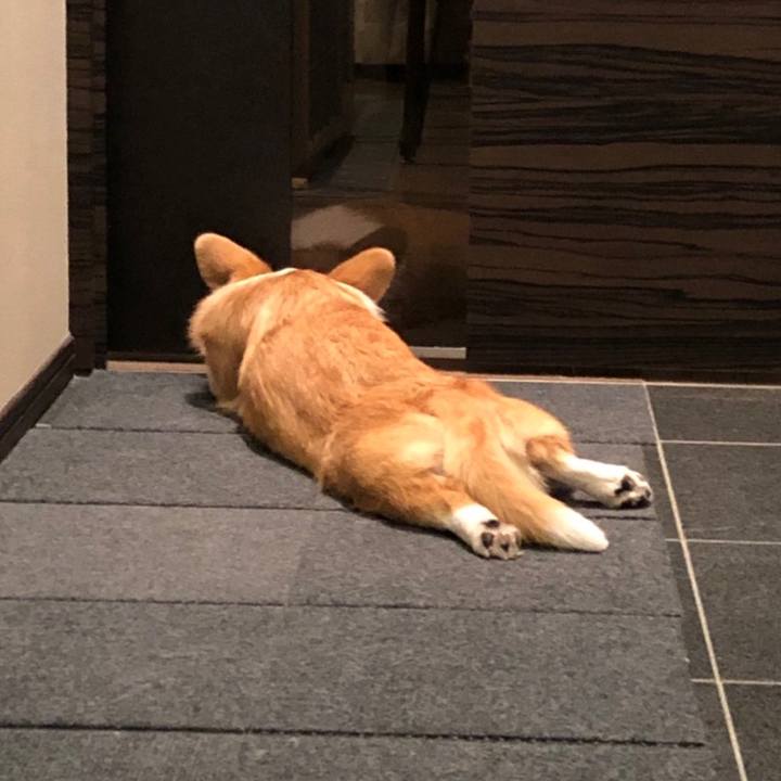 49010826 2cf2 433b abf3 96b45cb5094c 1589108862641