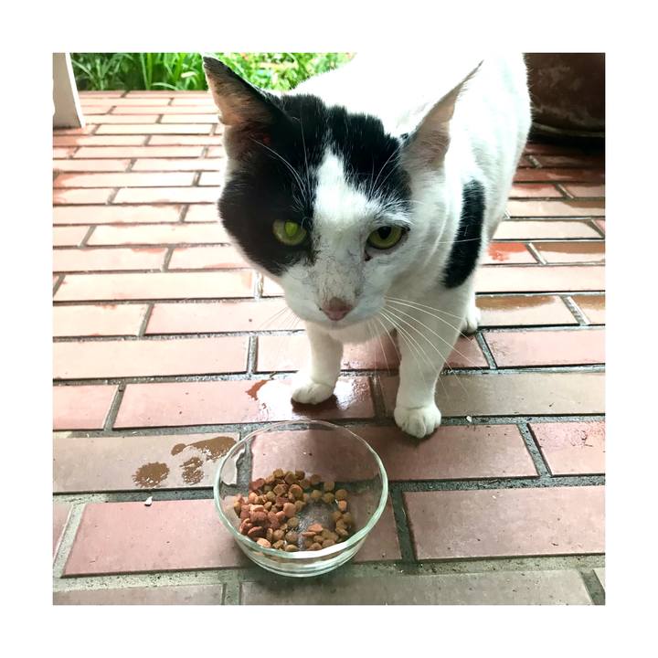 490119e4 08a5 4656 ba30 3d008ad6b7ae 1653291359608