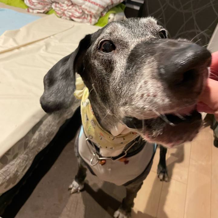 49014659 fb7b 46c8 b207 b4e73815d531 1656630164437