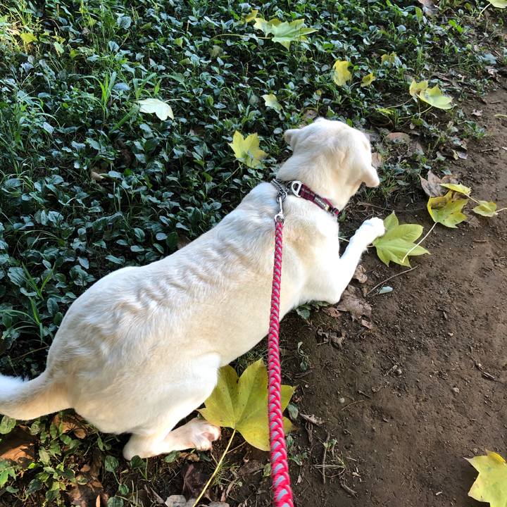 49017b3c 4f06 40d1 8fbc eec804aa0da3 1598655644645