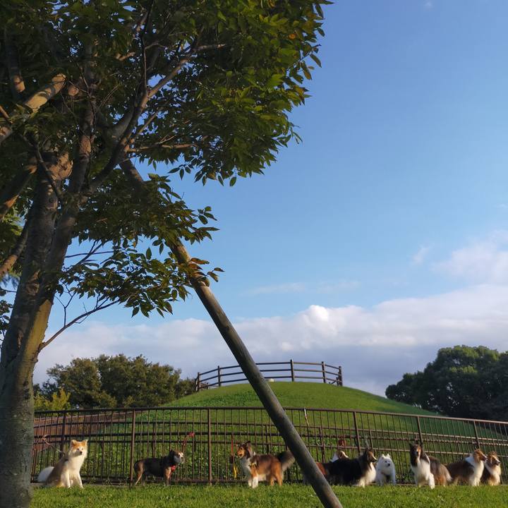 4901958a 1ff7 441f a120 330ac62e899d 1666017004085